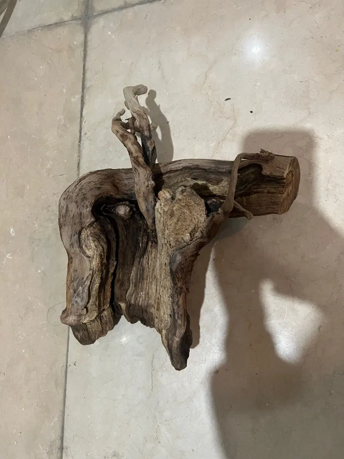 چوب ابنوس و بایو فیلتر|ماهی|کرج, عظیمیه|دیوار