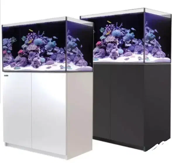 ساخت آکواریوم ریملس سفارشی با میز، اقساط ۶ ماهه|ماهی|تهران, سلسبیل شمالی|دیوار