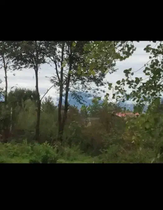 ویلا باغ ۱۸۰۰متری|فروش خانه و ویلا|تهران, فلسطین (میدان انقلاب)|دیوار