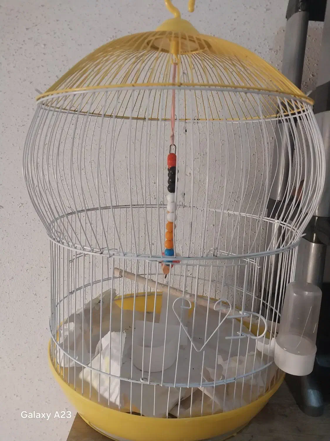 قفس پرنده|لوازم جانبی حیوانات|رشت, دباغیان|دیوار