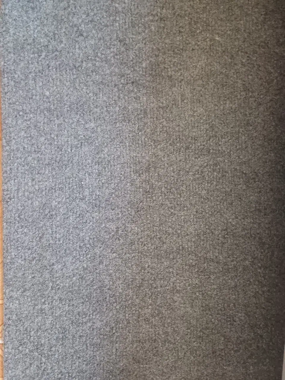 موکت کبریتی در حد نو|موکت|بوشهر, |دیوار