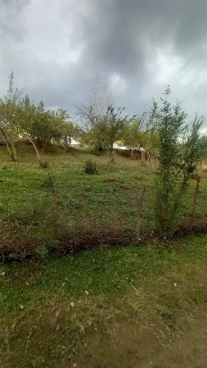 ۵۰۰متر زمین مسکونی/پلاک اول جنگل|فروش زمین و ملک کلنگی|رضوانشهر, |دیوار