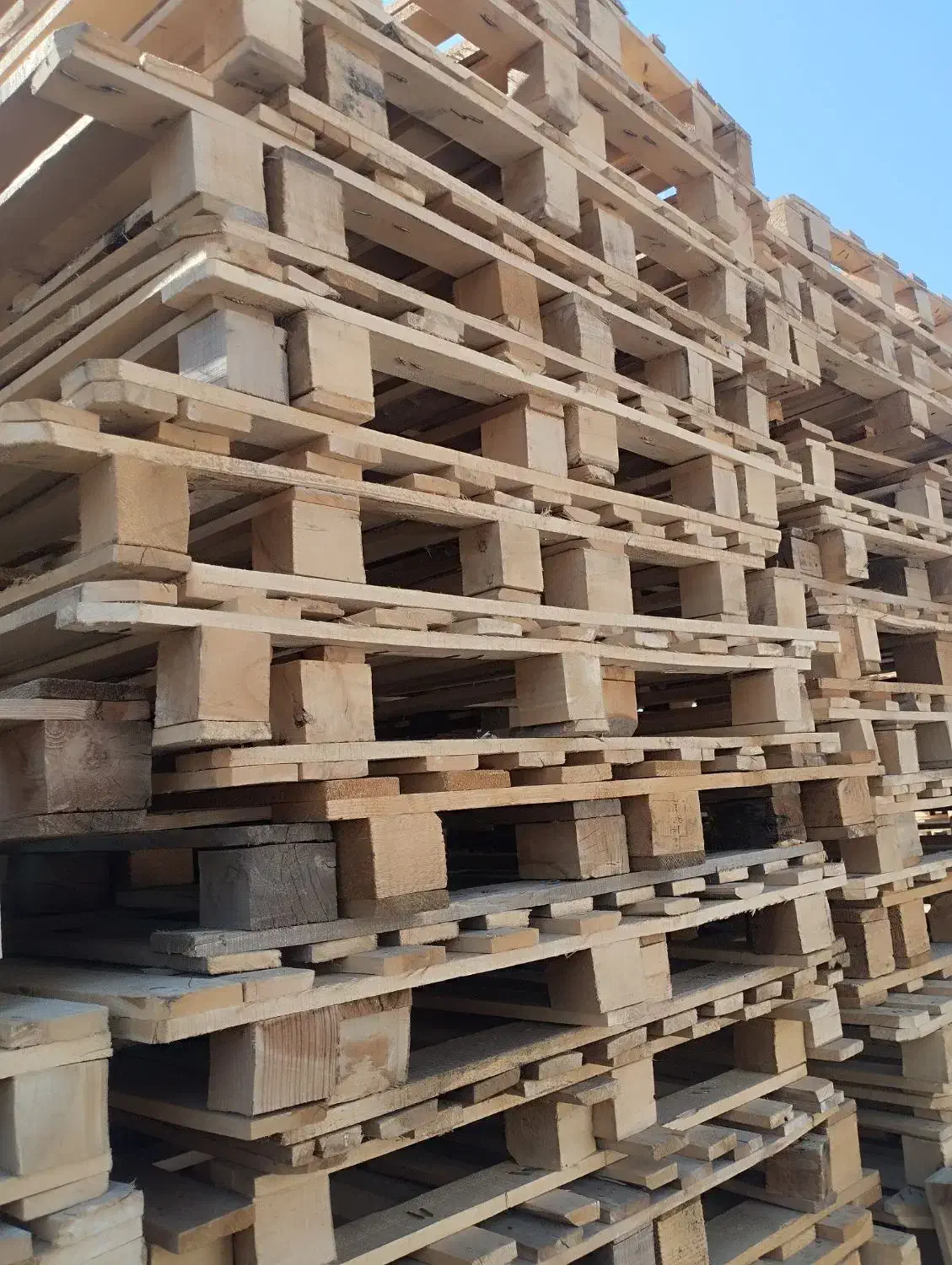 خرید و فروش پالت چوبی پلاستیکی چوب و تخته|عمدهفروشی|سمنان, |دیوار