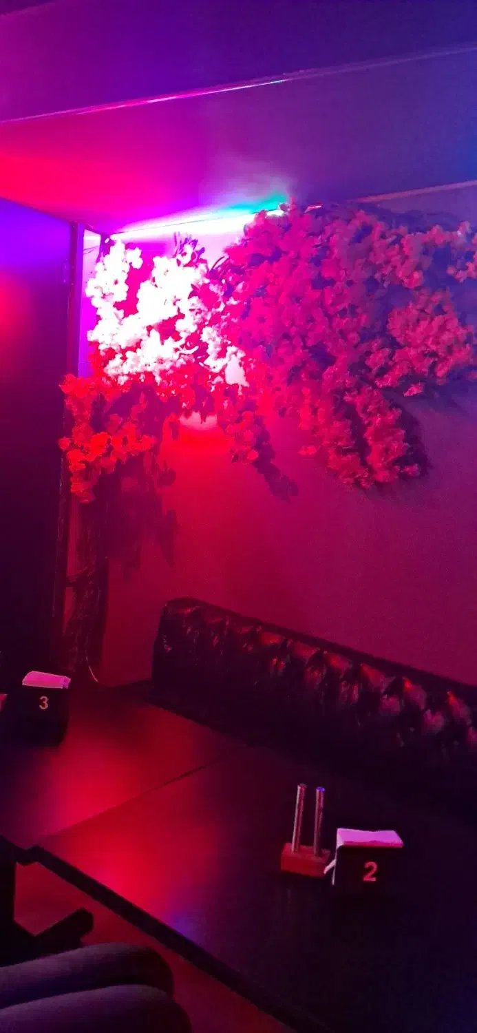 صندوقدار خانوم|استخدام خدمات فروشگاه و رستوران|تهران, حکمت|دیوار