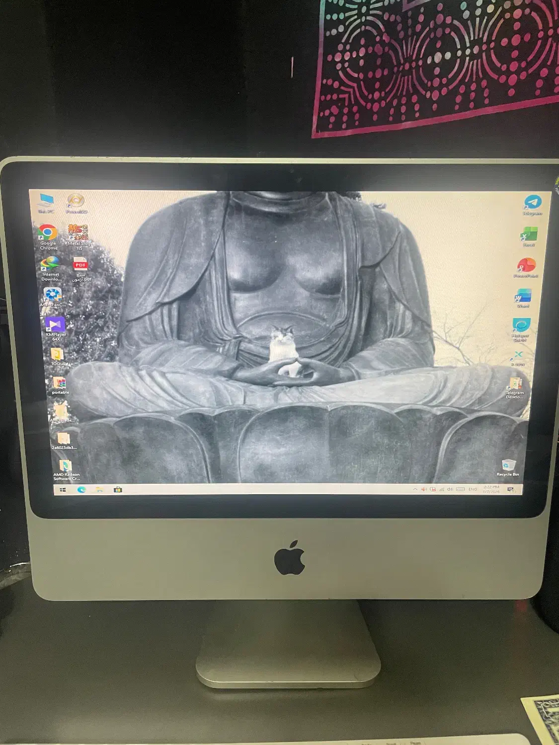 ایمک قدیمی اپل|رایانه رومیزی|رشت, کاکتوس|دیوار