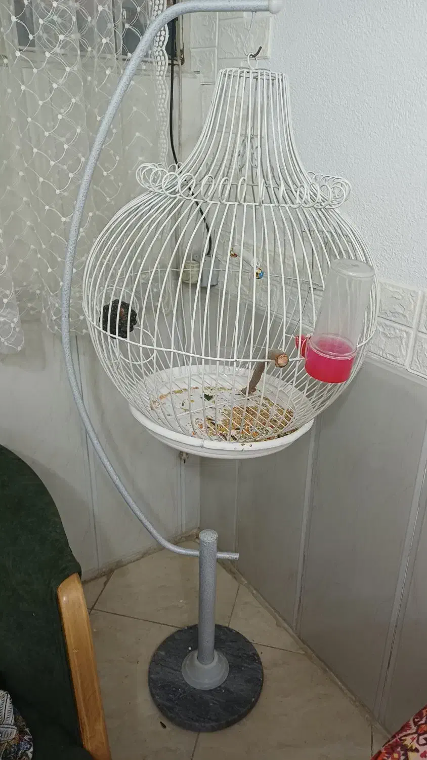 قفس پرنده پایه دار|لوازم جانبی حیوانات|تهران, جوادیه تهرانپارس|دیوار