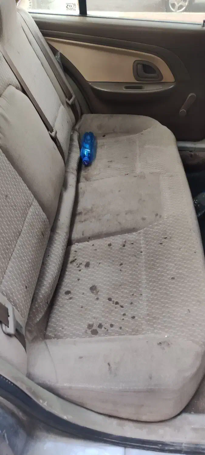 مبل شویی موکت فرش صندلی خلیج فارس|خدمات نظافت|بندرعباس, |دیوار