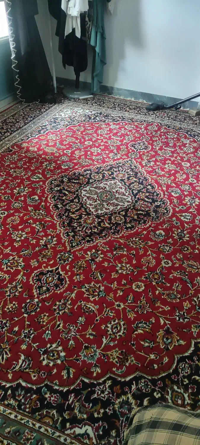 فرش|فرش|دامغان, |دیوار