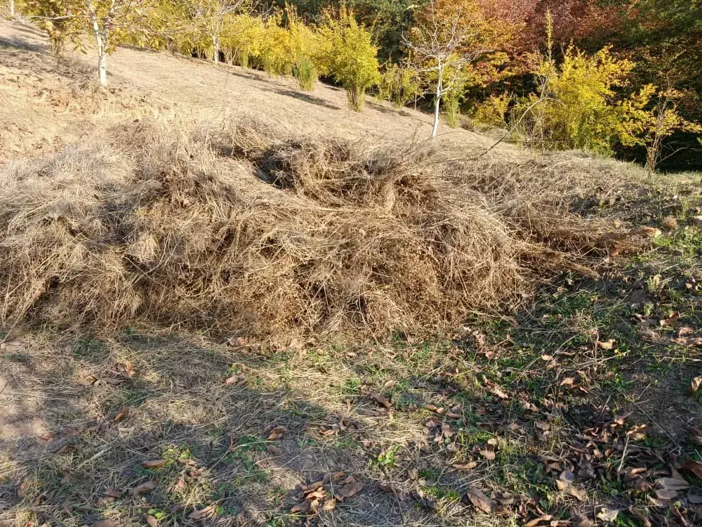 علوفه باغی بسته بندی شده|لوازم جانبی حیوانات|مینودشت, |دیوار