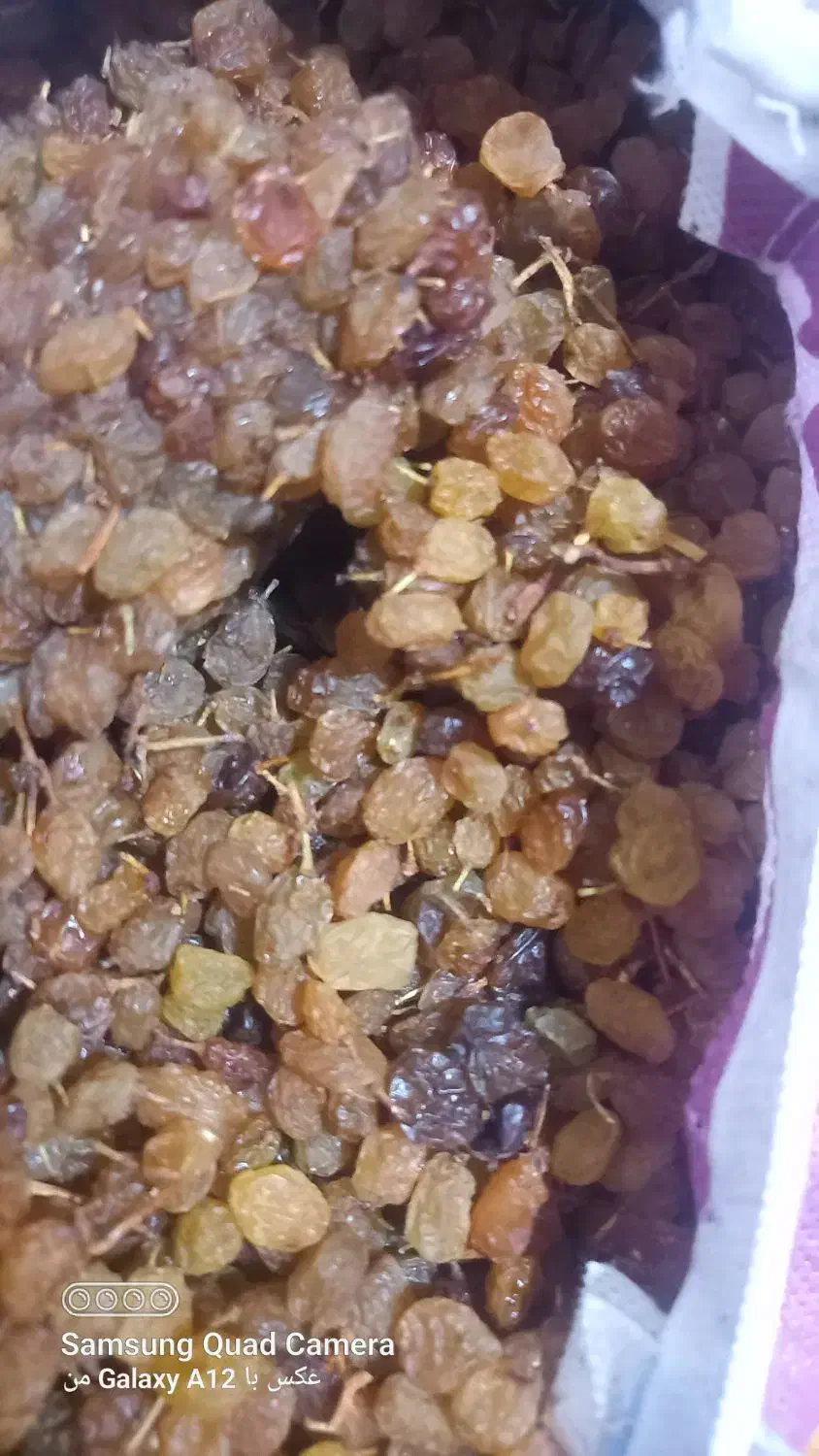 کشمش بیدانه کشمشی اصل اورگانیک|عمده‌فروشی|مشکان, |دیوار