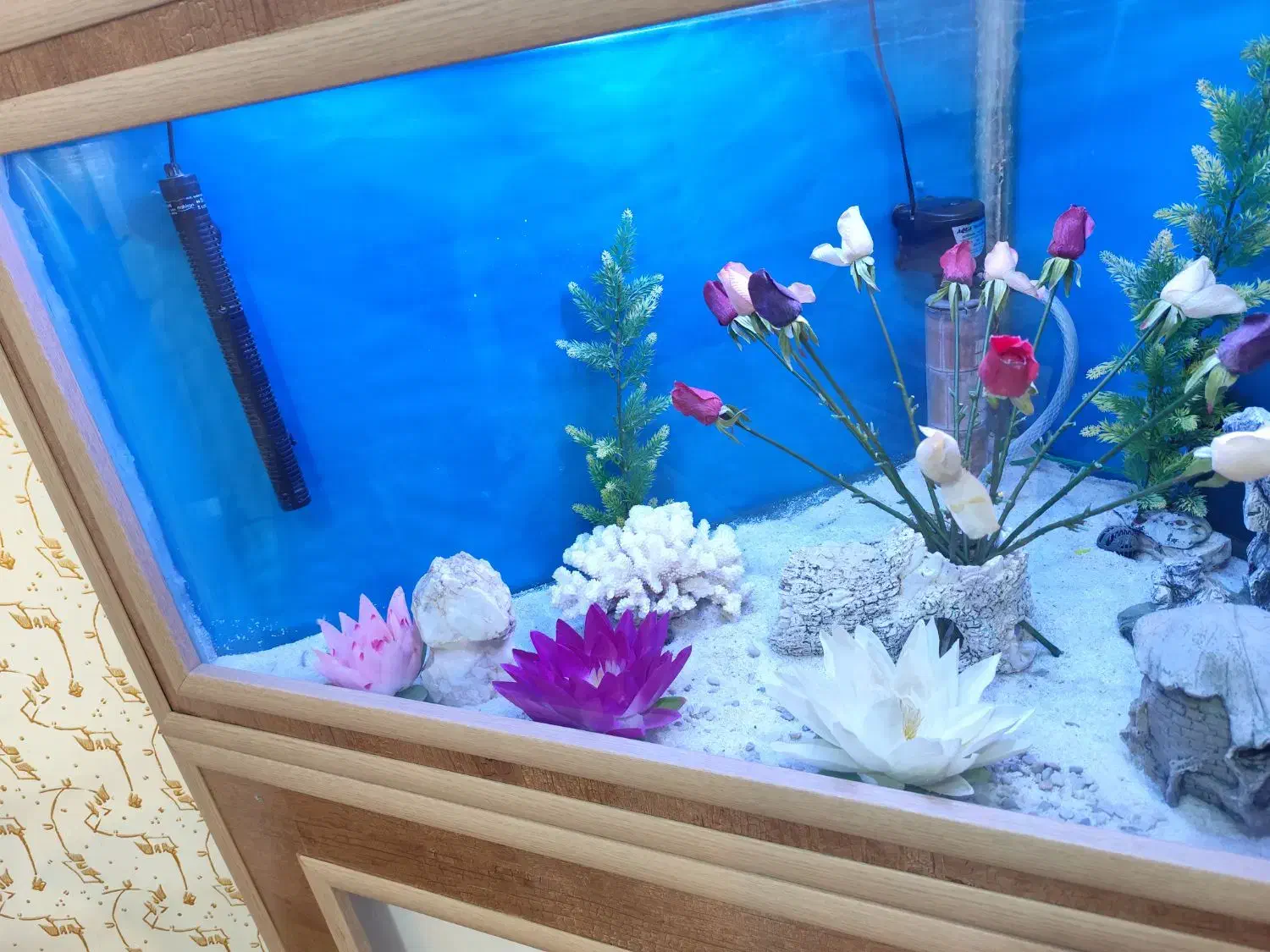 اکواریوم|ماهی|مریوان, |دیوار