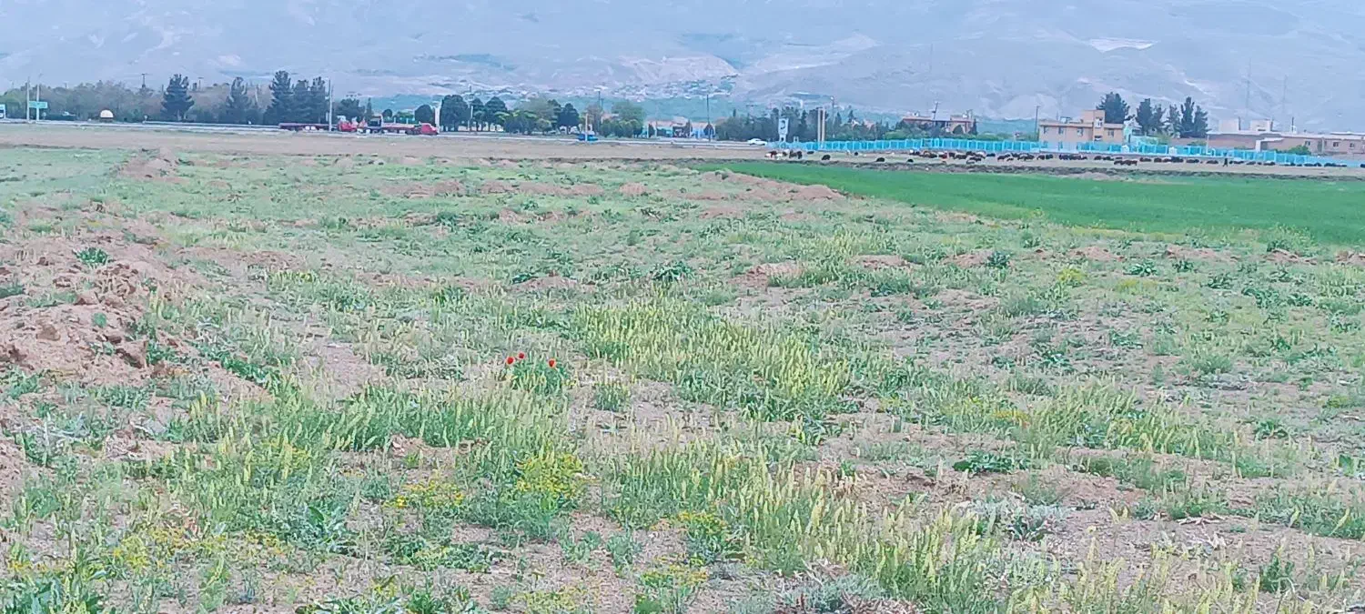 زمین روستای کله دشت|فروش دفتر صنعتی، کشاورزی، تجاری|نوبران, |دیوار