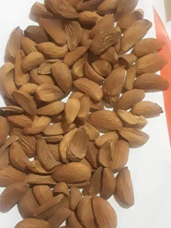 مغز بادام|خوردنی و آشامیدنی|جونقان, |دیوار