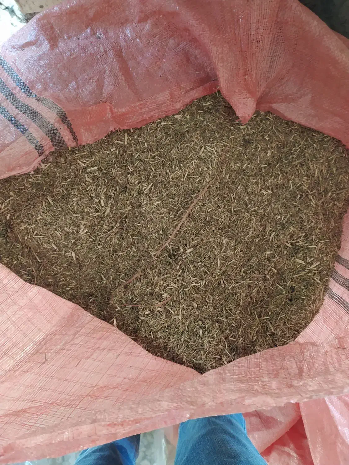 خار|لوازم جانبی حیوانات|انبارآلوم, |دیوار