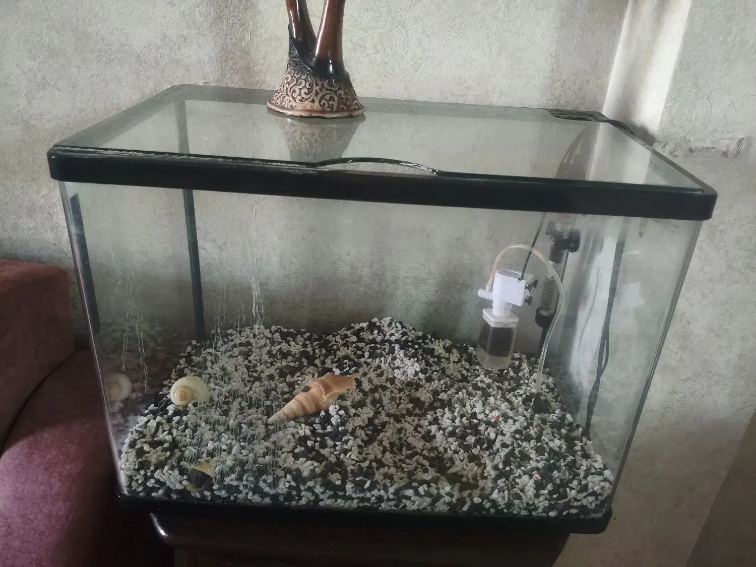 آکواریوم با لوازم|ماهی|بندر انزلی, گلسرخ|دیوار