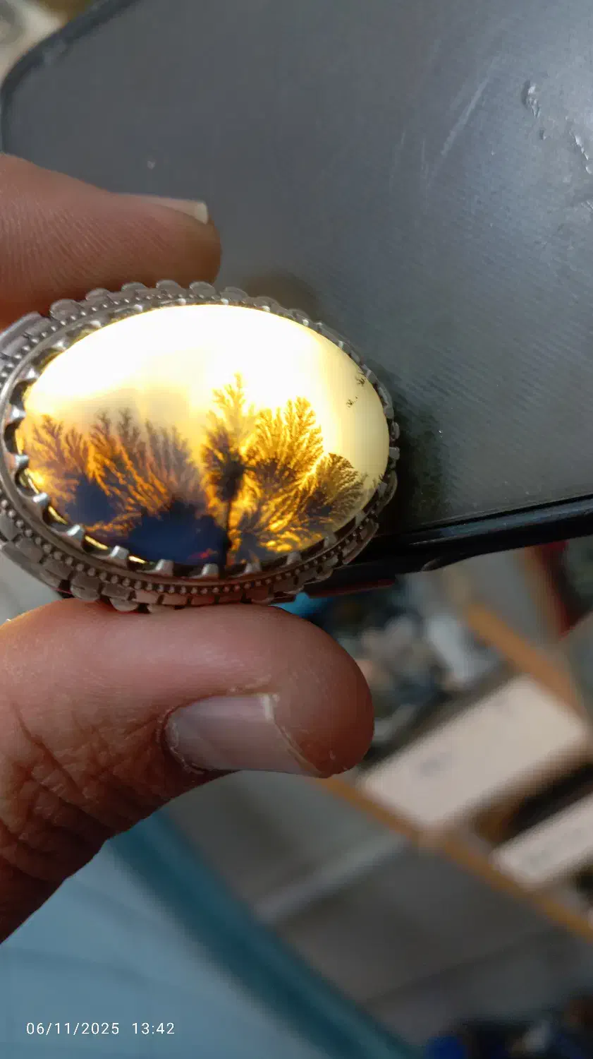 انگشتر شجر|جواهرات|مراغه, |دیوار