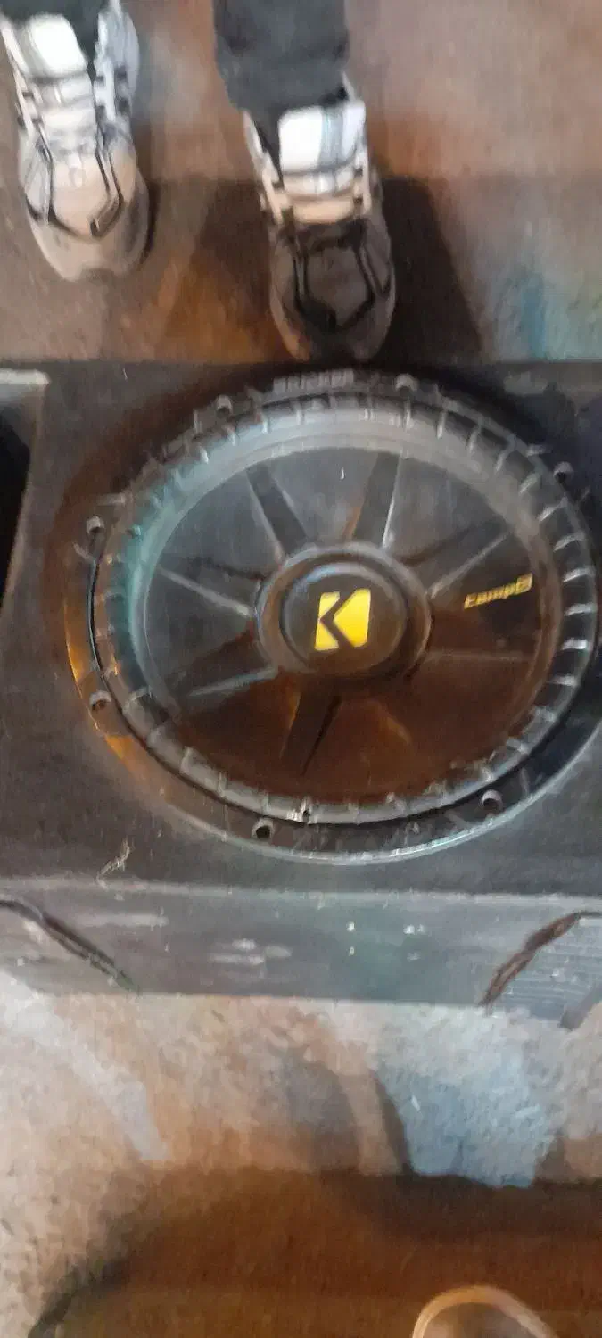 خریدار|صوتی و تصویری|قم, چهل درخت‎|دیوار