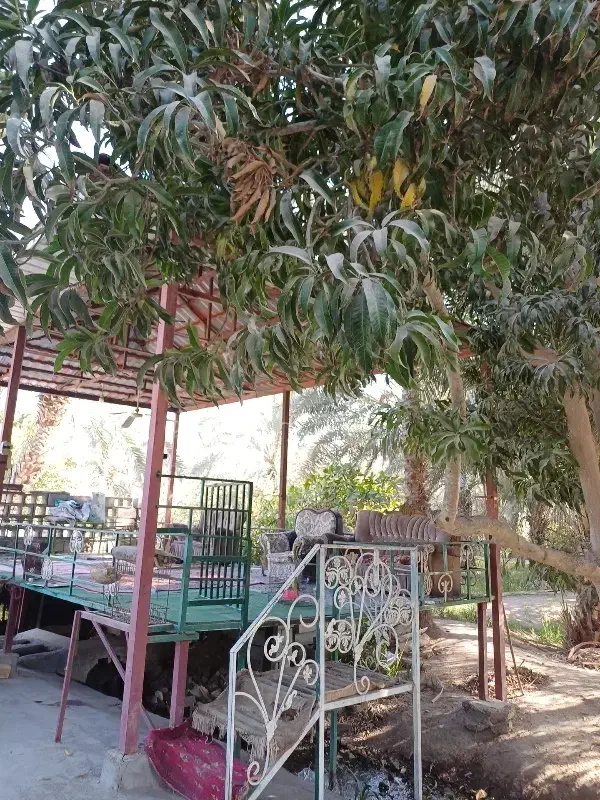 اجاره باغ شبانه روزی|اجارهٔ کوتاهمدت ویلا و باغ|میناب, |دیوار