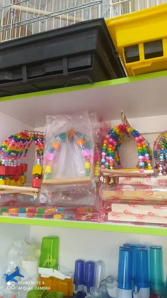 دان پرندگان زینتی مکمل دارو تقویتی قناری طوطی طیور|لوازم جانبی حیوانات|ابهر, |دیوار