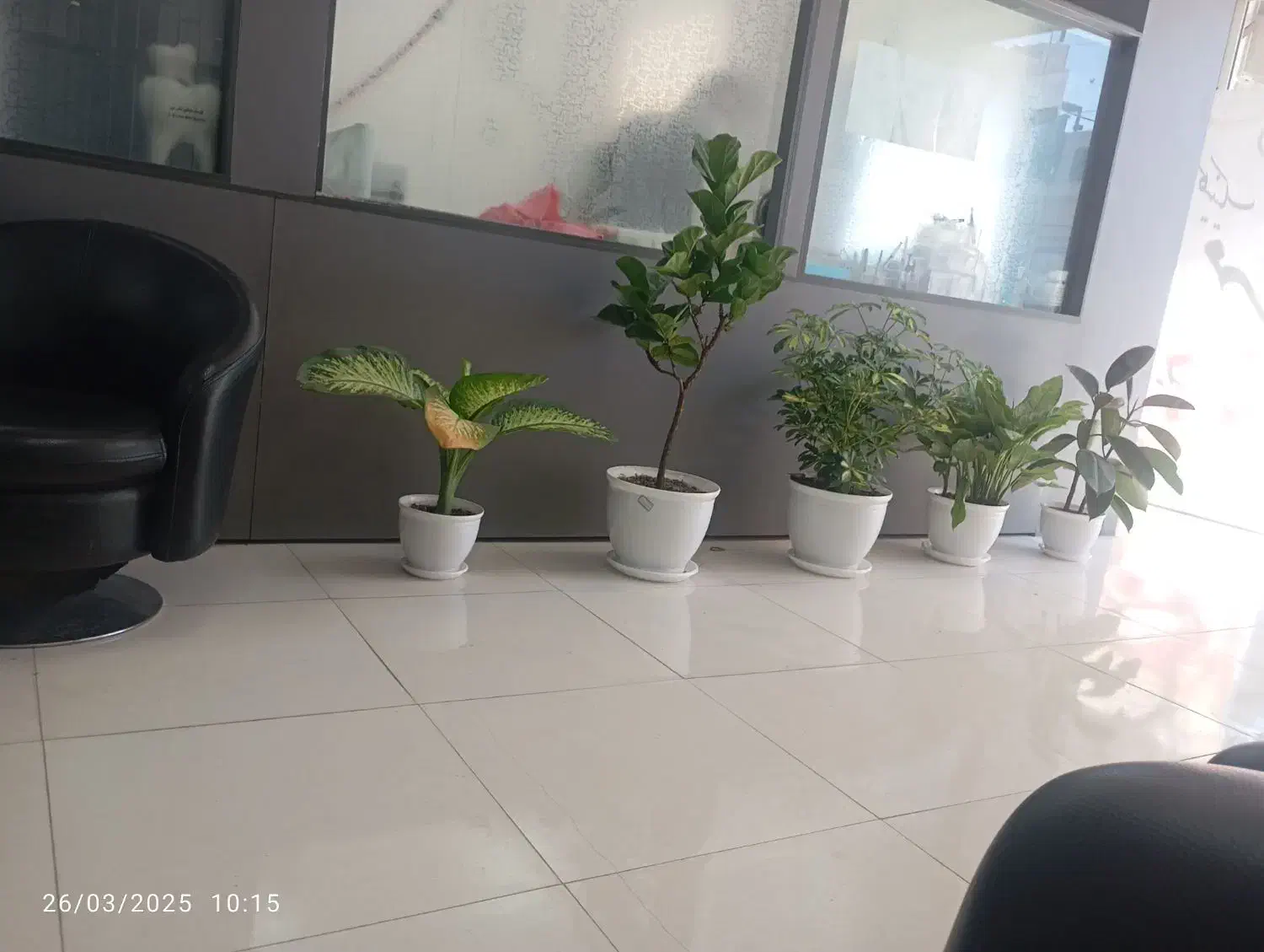 گمشده|اشیا|درب بهشت, |دیوار