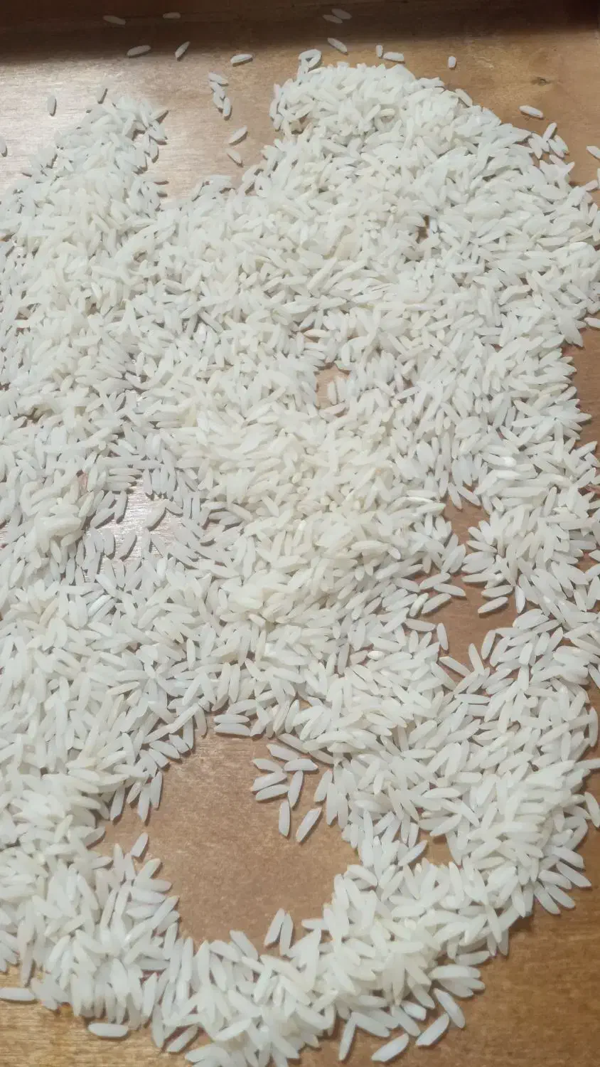 فروش برنج طارم و لاشه طارم|خوردنی و آشامیدنی|جویبار, |دیوار