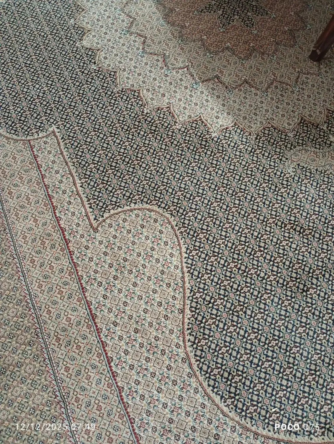 فرش|فرش|مشهد, کوی ولیعصر|دیوار