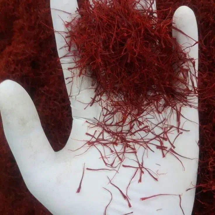 زعفران سرگل درجه یک / مستقیم از کشاورز|خوردنی و آشامیدنی|کرج, ساسانی (قلمستان)|دیوار