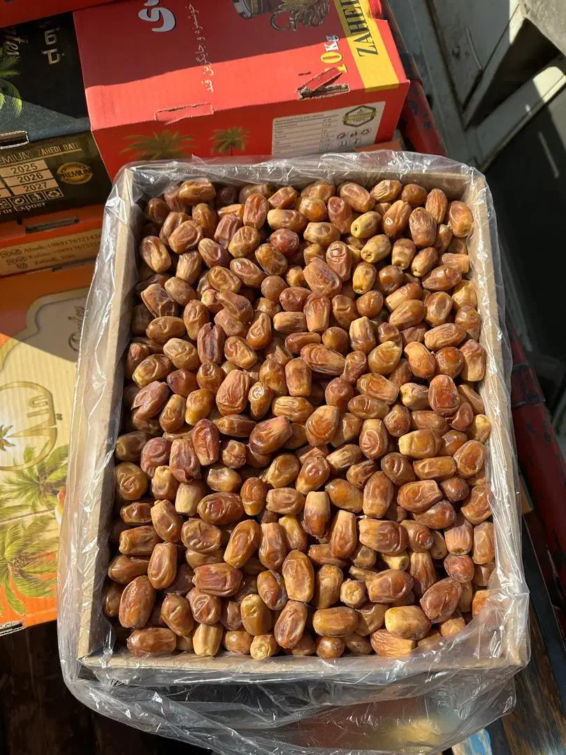 انواع خرما و کشمش|خوردنی و آشامیدنی|بجنورد, |دیوار