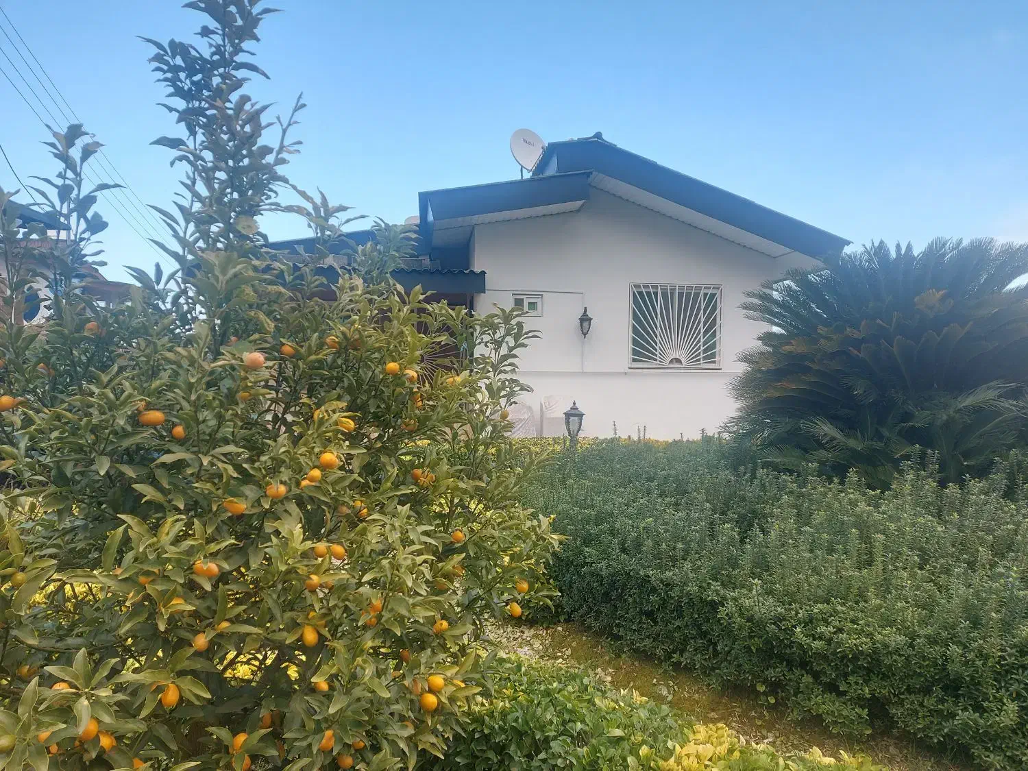 نوشهر محدوده چلندر ویلاباغ ۴۳۰ متری پای کوه|فروش خانه و ویلا|نوشهر, |دیوار