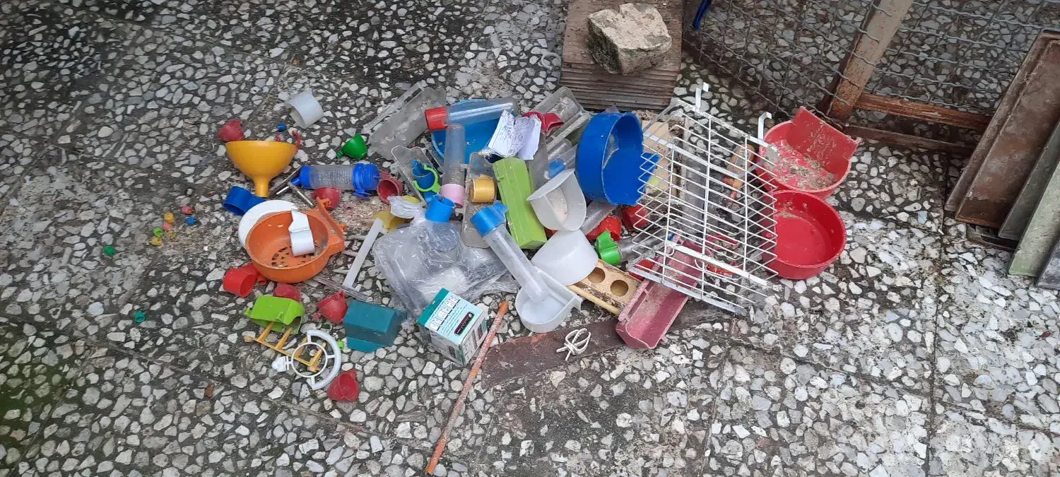 تعداد لانه عروس و قفس به همراه آب خوری|لوازم جانبی حیوانات|رستم‌آباد, |دیوار