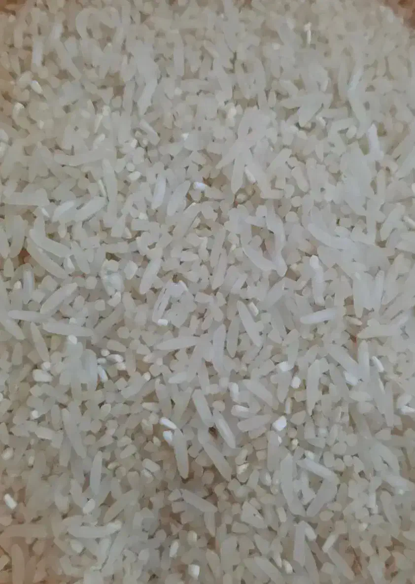 برنج طارم هاشمی آمل|خوردنی و آشامیدنی|گمیشان, |دیوار