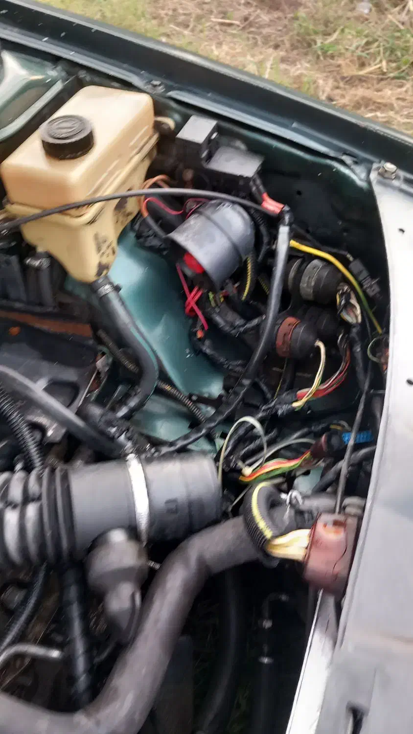 پرشیا مدل ۸۱|خودرو سواری و وانت|خمام, |دیوار