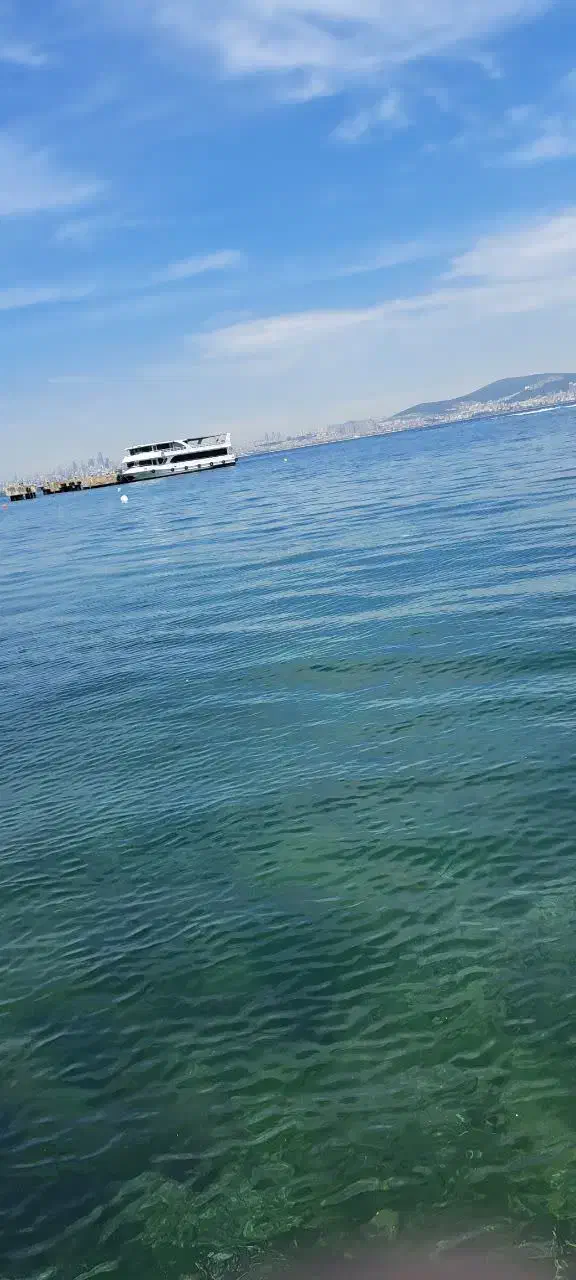 نیازمند وکیل|فعالیت داوطلبانه|مشکیندشت, |دیوار