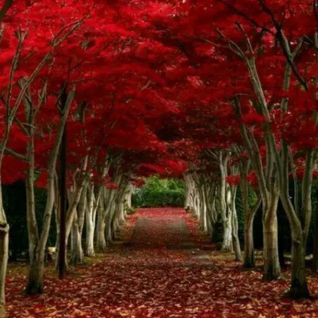 همسفر طبیعت گردی و پیاده روی در تهران|فعالیت داوطلبانه|تهران, طرشت|دیوار