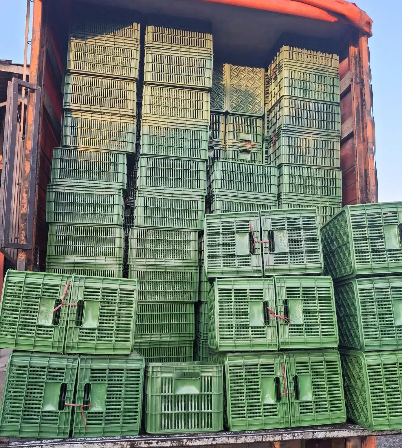 سبدفروشی جعفری سبد 20کیلویی 14 کیلویی وغیره...|عمدهفروشی|واجارگاه, |دیوار