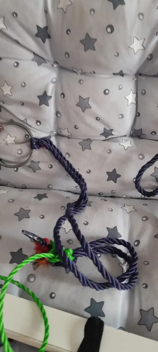 تاب کودک|کالسکه و لوازم جانبی|رشت, پاره بیجار|دیوار