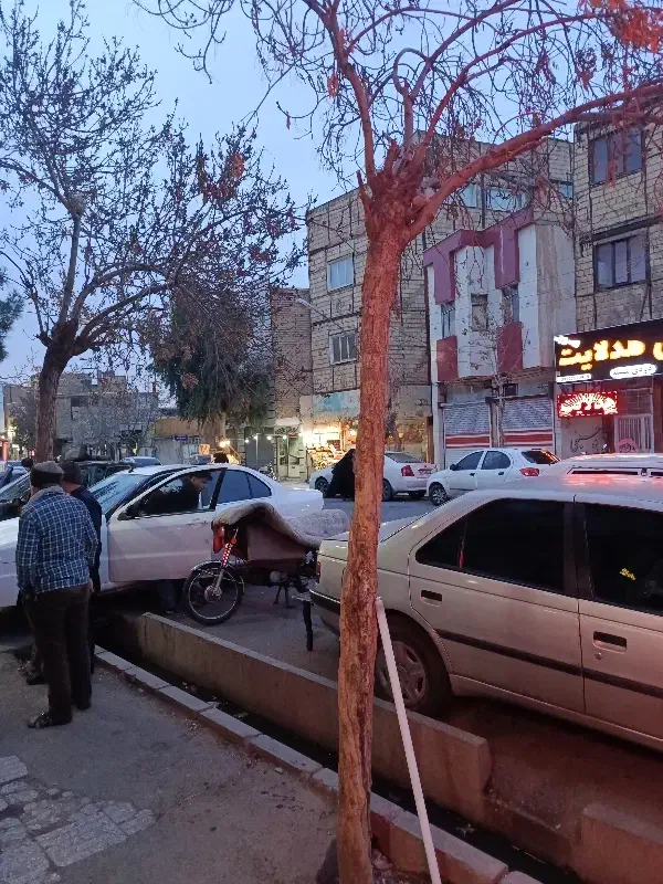 کیف مدارک گم شده|اشیا|قم, باغ شریفی|دیوار