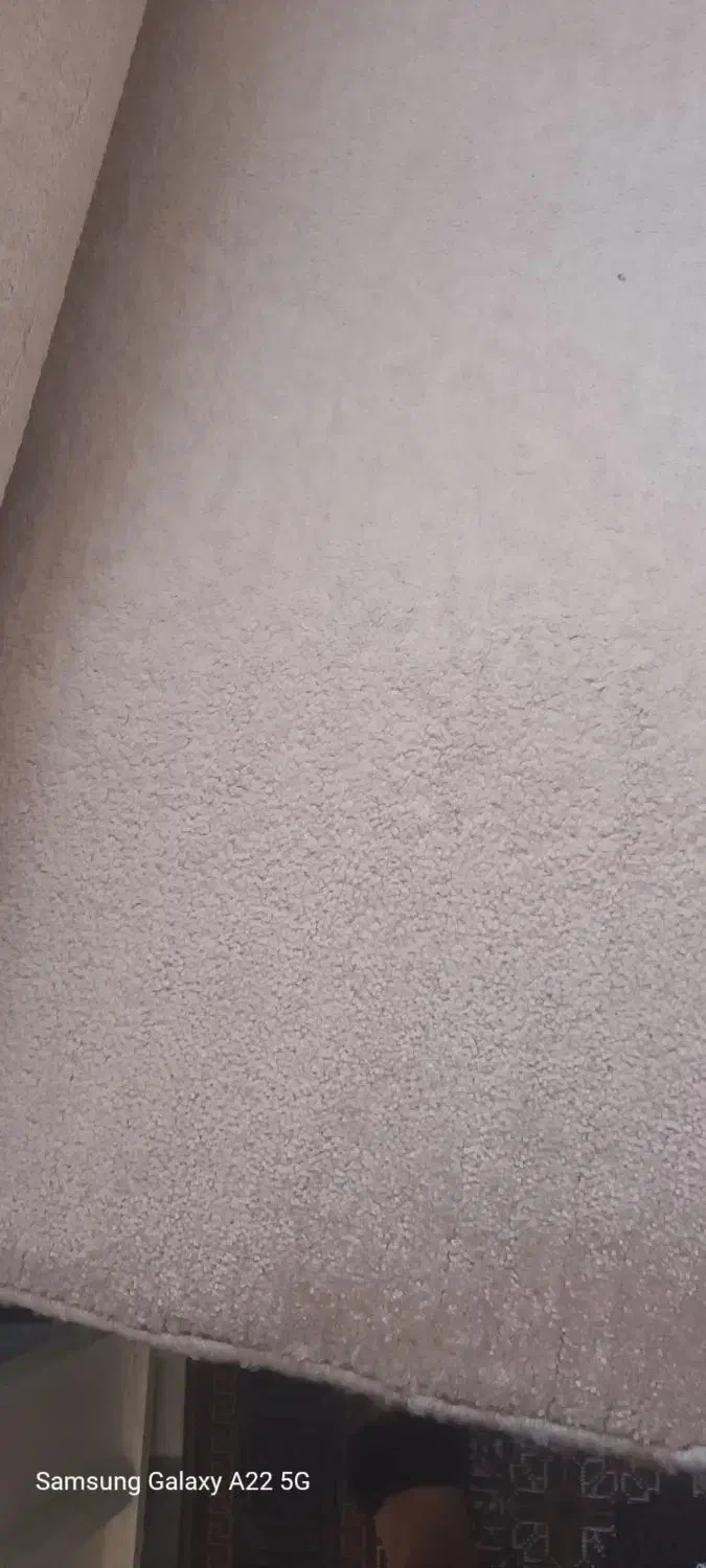 پالاز موکت|موکت|قم, علی آباد سعدگان|دیوار