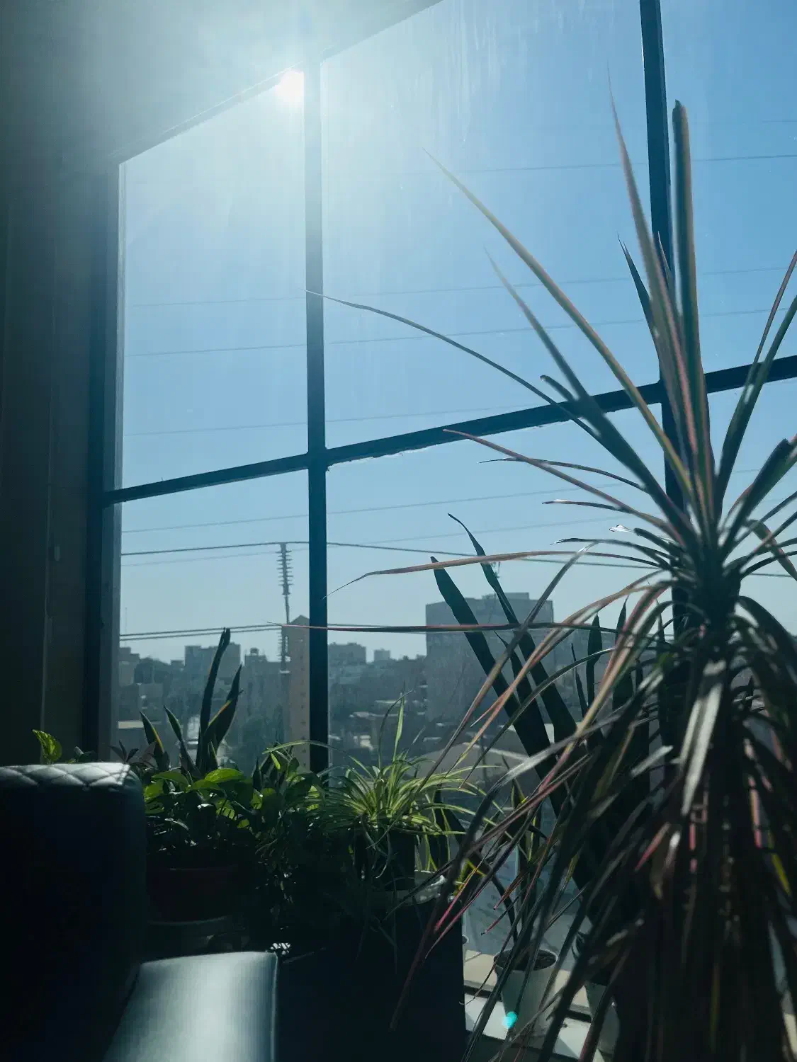 فرصت ویژه برای استخدام بانوان|استخدام بازاریابی و فروش|دزفول, |دیوار