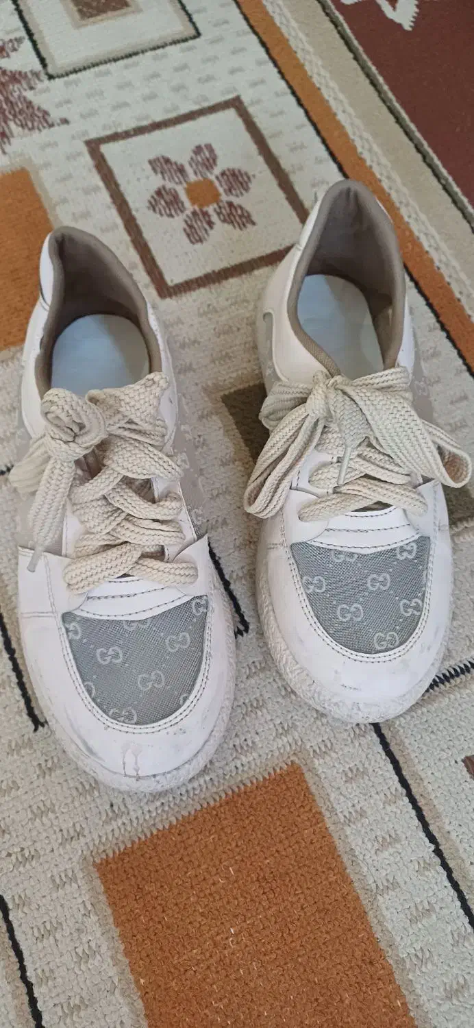 کتونی|کیف، کفش، کمربند|باغستان, |دیوار