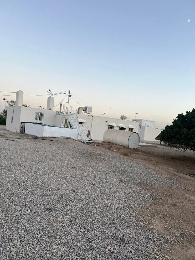 200جریب چاه گلخانه گاوداری باپروانه مرغداری کارخان|فروش دفتر صنعتی، کشاورزی، تجاری|میمه, |دیوار