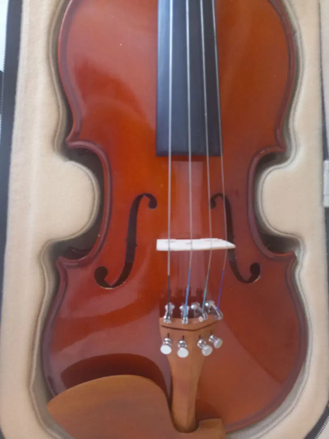 ویالون|ویولن|شاهین‌شهر, فردوسی|دیوار