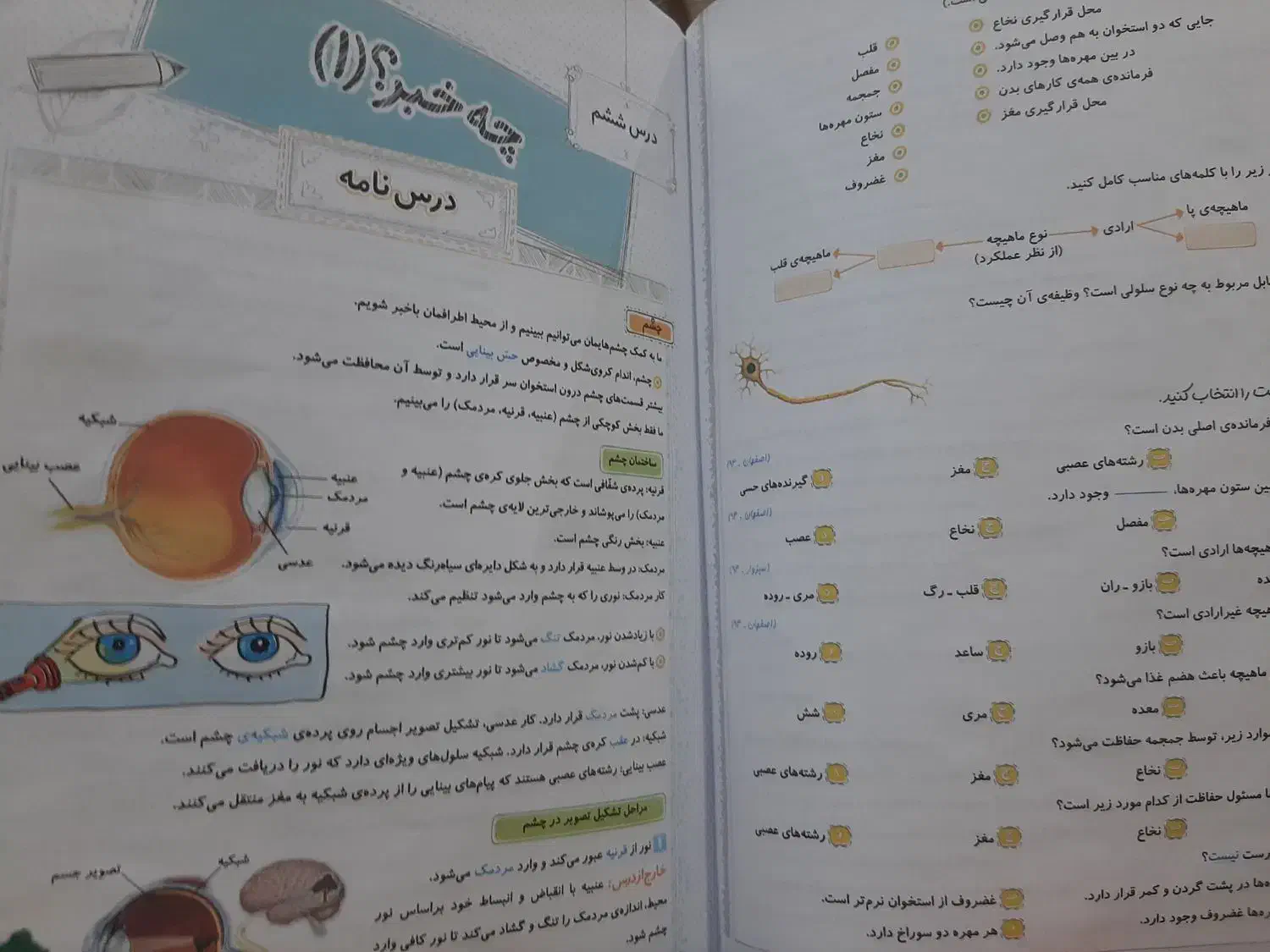 کتاب علوم پایه پنجم|کتاب و مجله آموزشی|کرج, شهرک فهمیده|دیوار