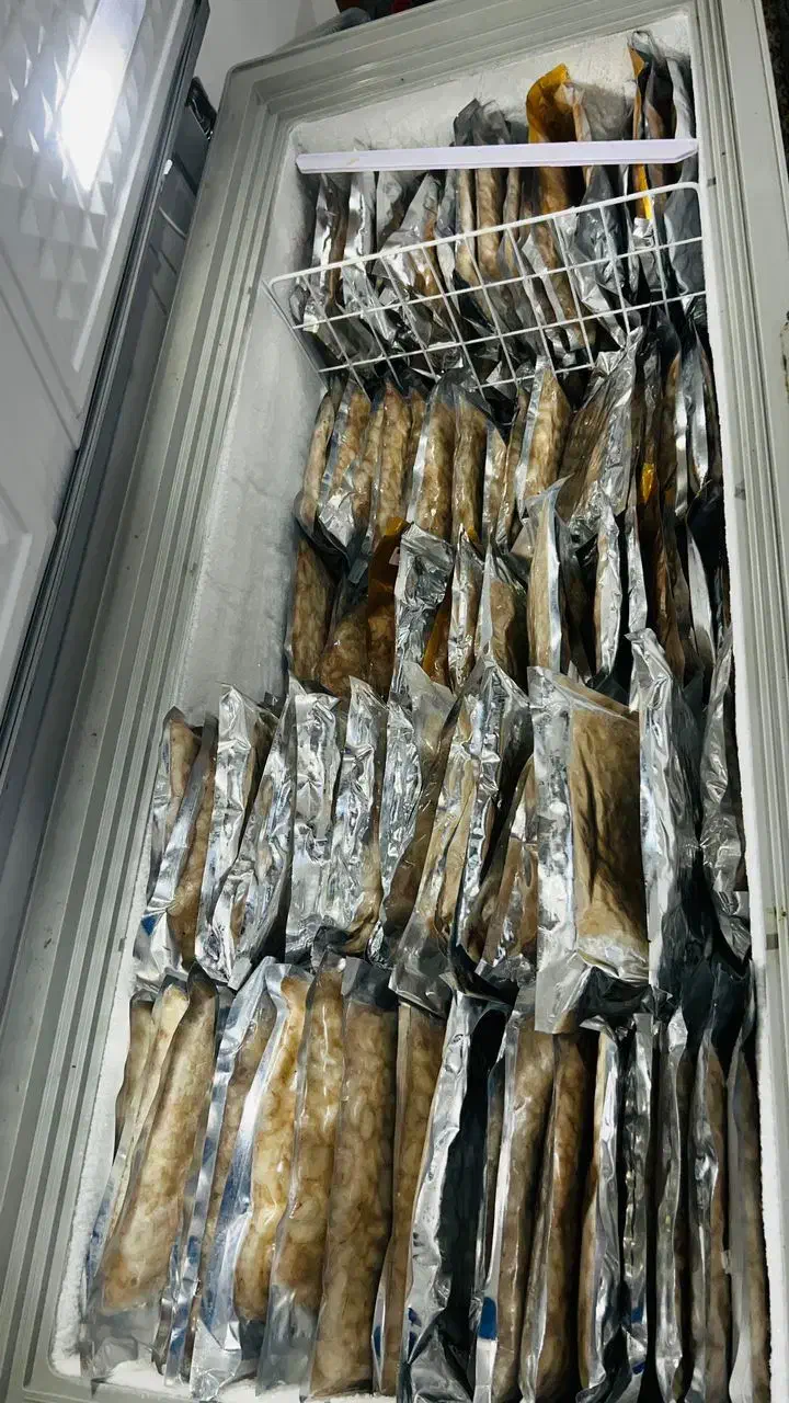 میگودریا|خوردنی و آشامیدنی|جاسک, |دیوار