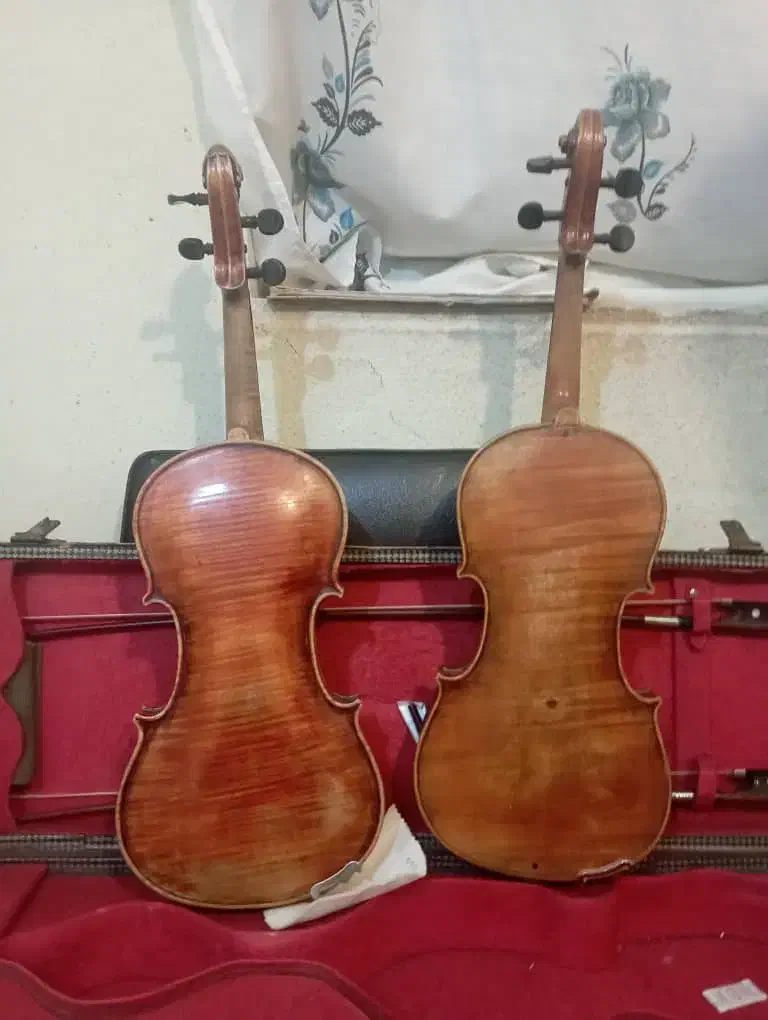 ویولن فروشی|ویولن|اصفهان, ملک‌شهر|دیوار