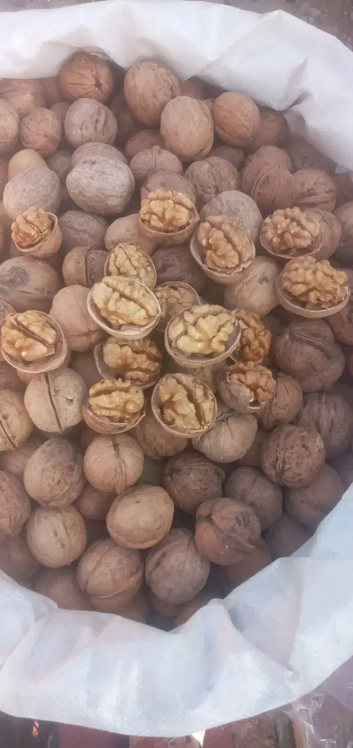 گردو درجه یک|خوردنی و آشامیدنی|فردیس, شهرک شهید حسینی|دیوار