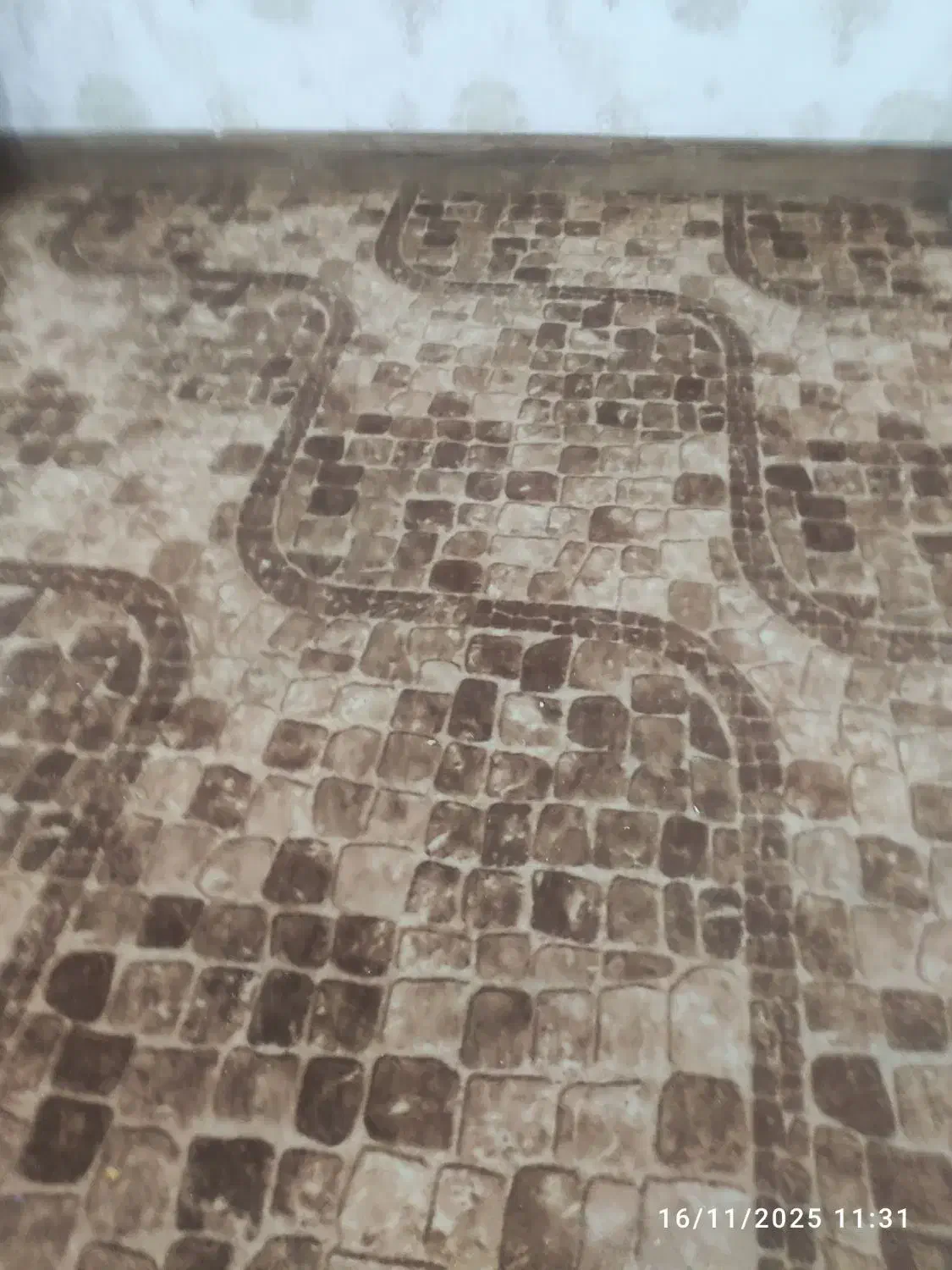 موکت دست دوم توافقی|موکت|بوشهر, |دیوار