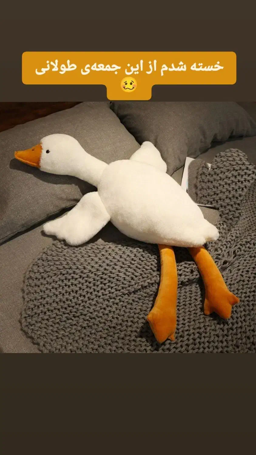 عروسک پلیشی|اسباببازی|سلمانشهر, |دیوار