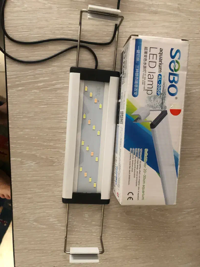 نور اکواریوم|ماهی|تهران, مرادآباد|دیوار