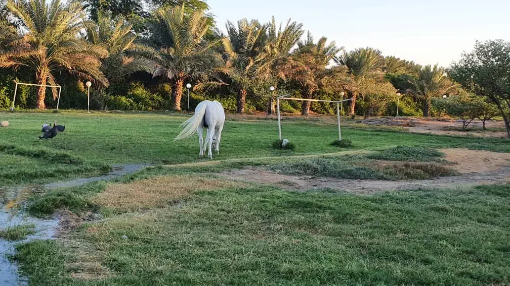 نیازمند کارگر ساده روز مزد برای دو روز کار|استخدام صنعتی، فنی، مهندسی|بند زرک, |دیوار